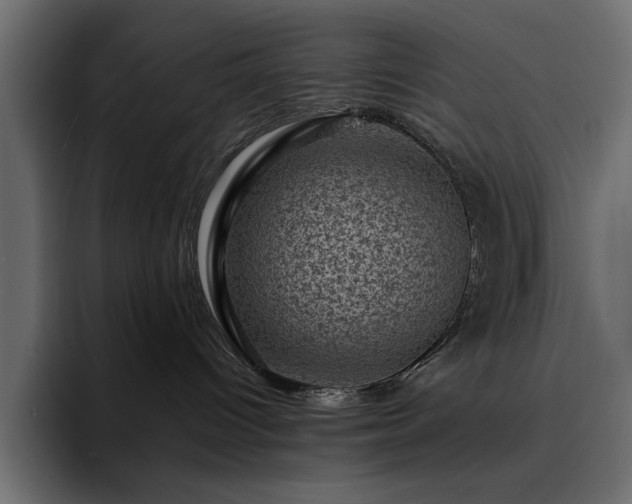 X0000095130096200712141205