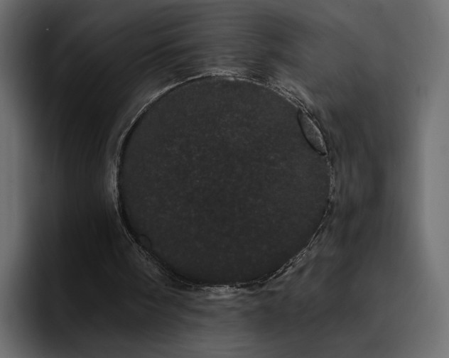 X0000095130098200712141204