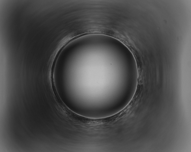 X0000095130099200712141204