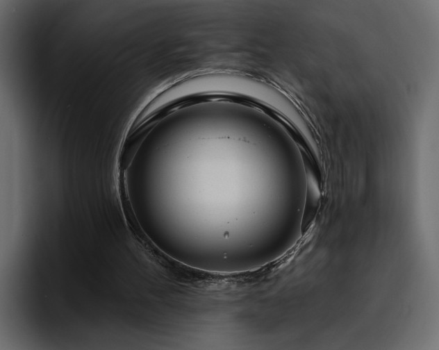 X0000095130100200712141204