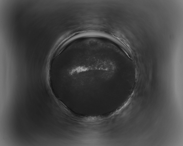 X0000095130101200712141204