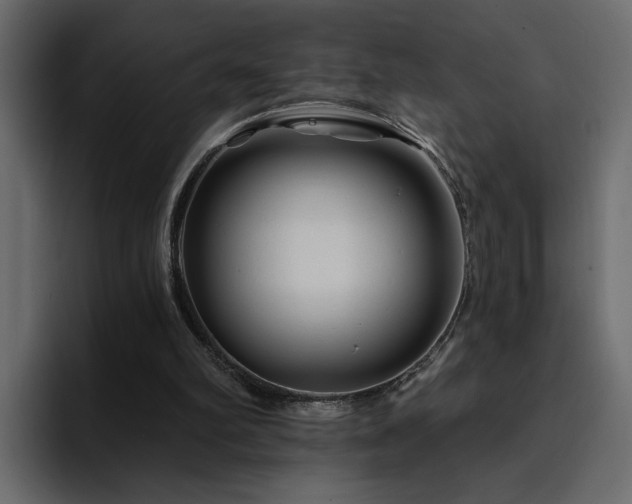 X0000095130102200712141204