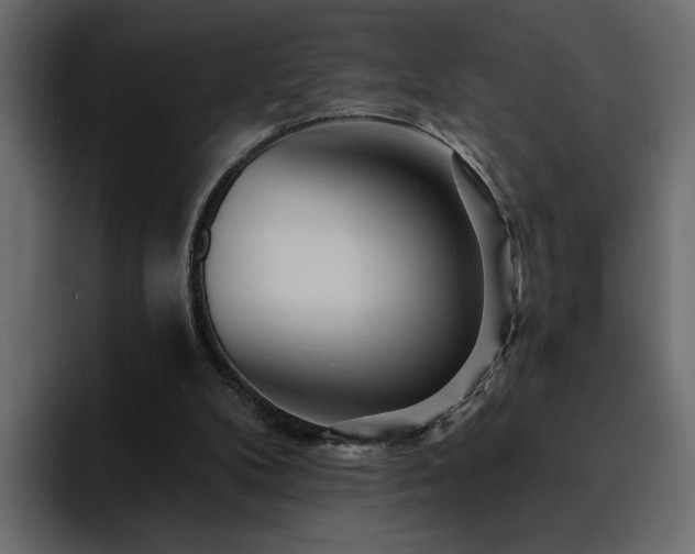 X0000095130104200712141204