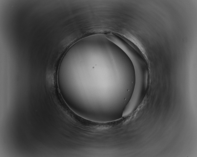 X0000095130105200712141204