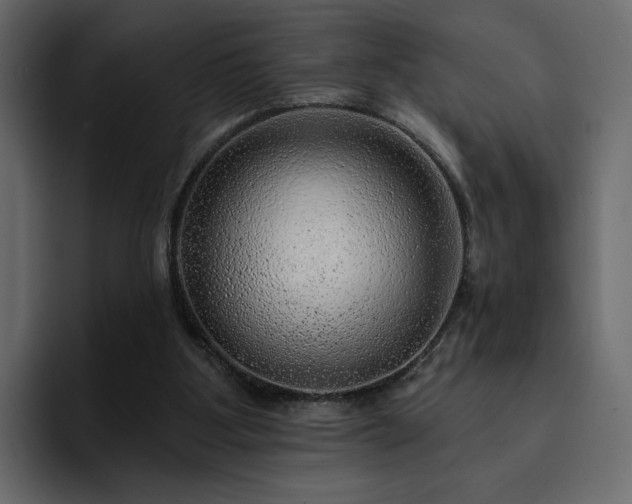 X0000095130107200712141204