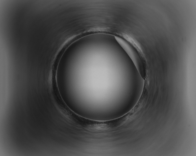 X0000095130108200712141204