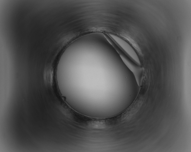 X0000095130110200712141204