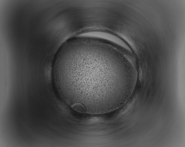 X0000095130111200712141204