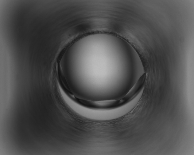 X0000095130112200712141204