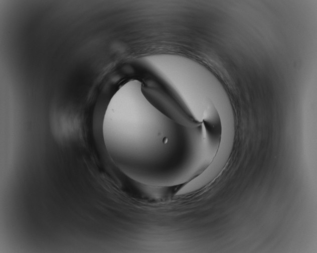 X0000095130116200712141204