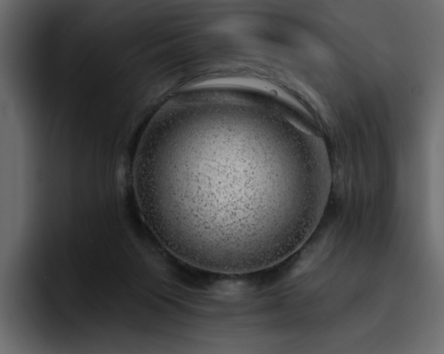 X0000095130119200712141204