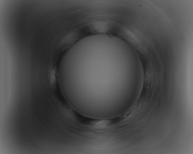 X0000095130122200712141204