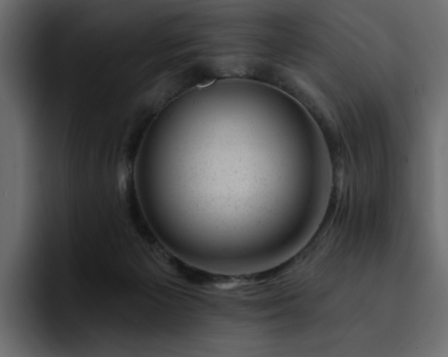 X0000095130125200712141204