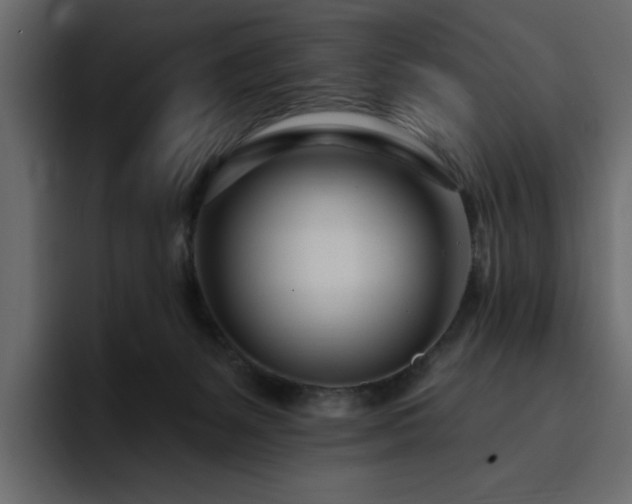 X0000095130127200712141204