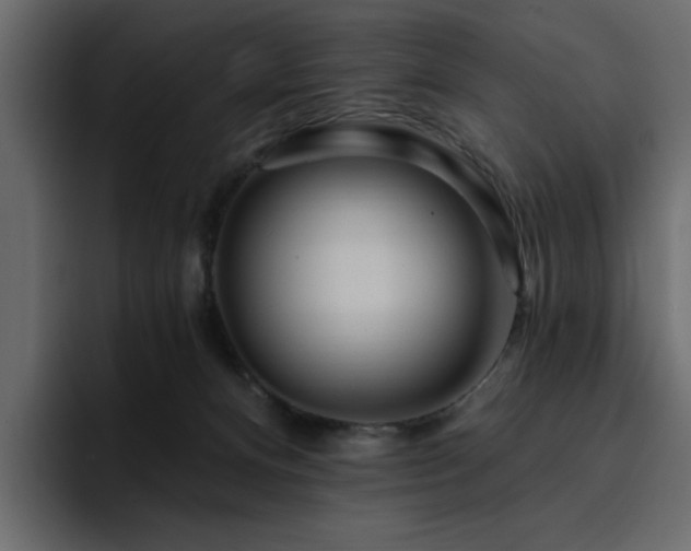 X0000095130128200712141204