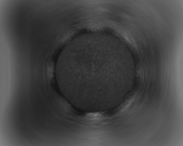 X0000095130133200712141204