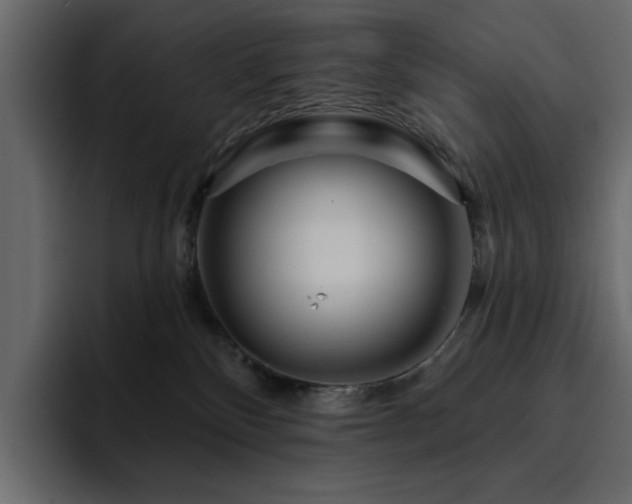 X0000095130136200712141204