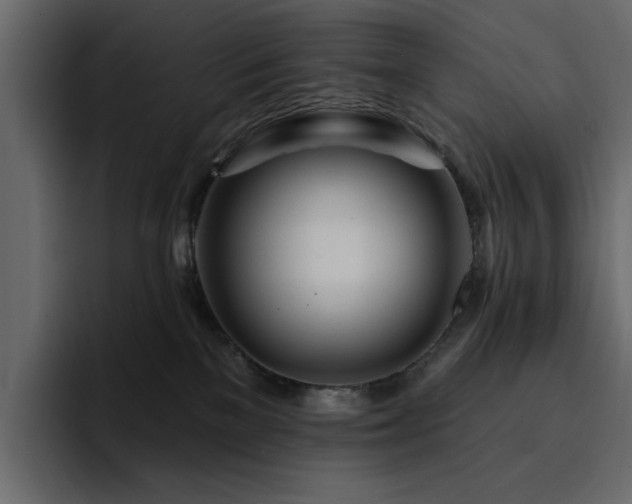 X0000095130137200712141204