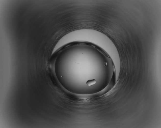 X0000095130140200712141204