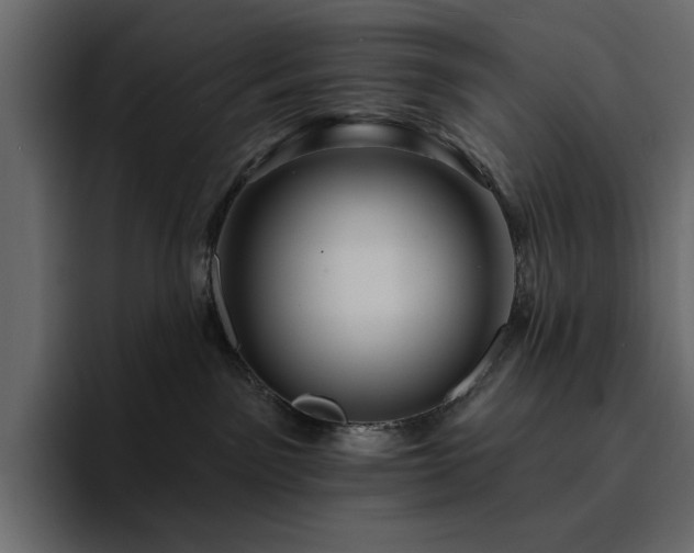 X0000095130141200712141204