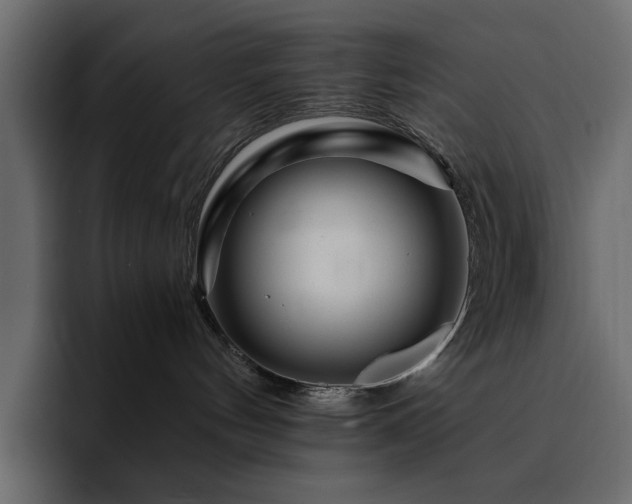 X0000095130144200712141204