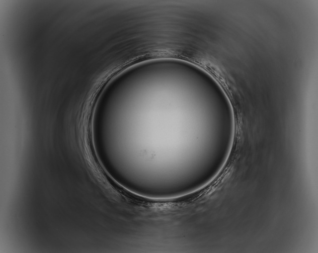 X0000095130145200712141203