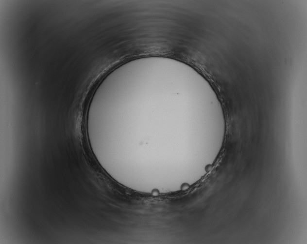 X0000095130146200712141203