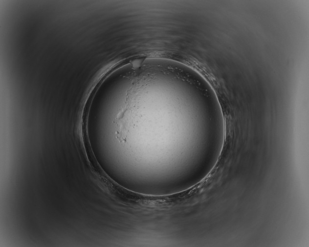 X0000095130147200712141203