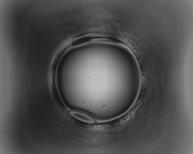 X0000095130149200712141203