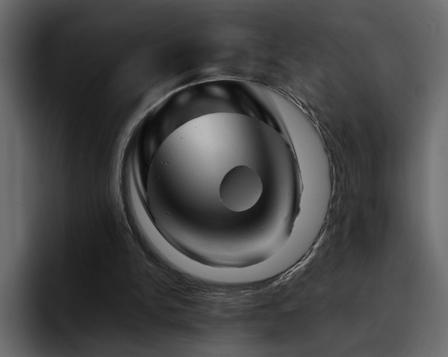 X0000095130150200712141203