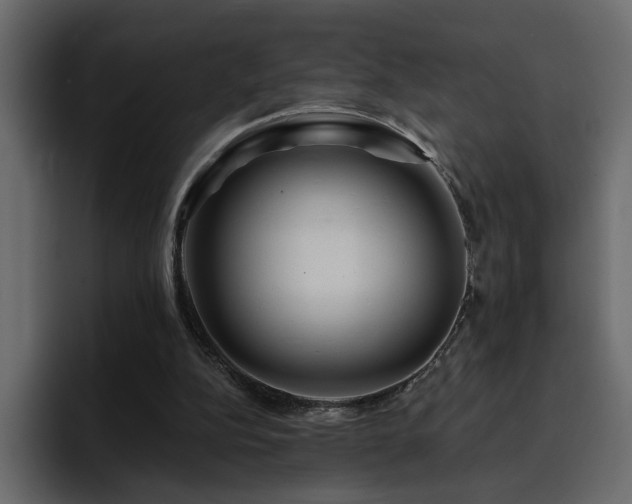 X0000095130152200712141203