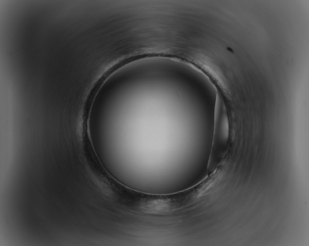 X0000095130156200712141203