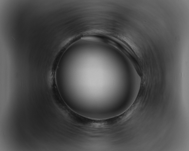 X0000095130160200712141203