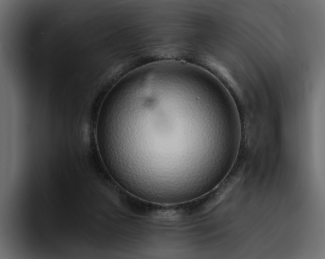 X0000095130161200712141203