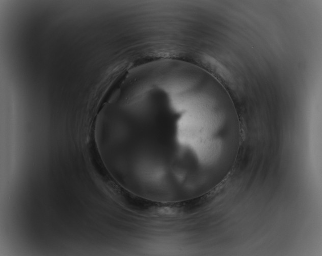 X0000095130163200712141203