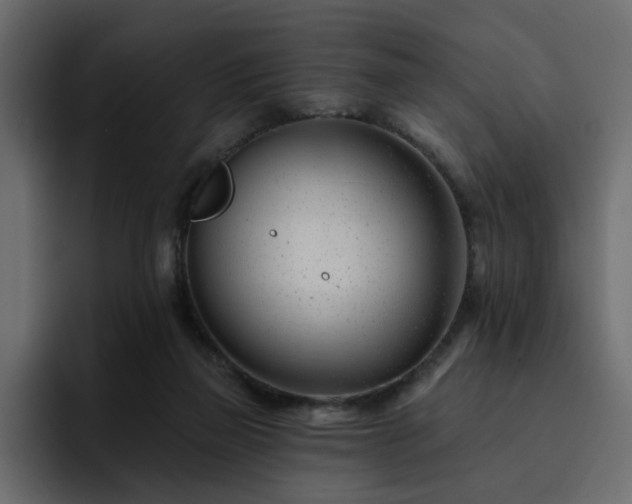 X0000095130165200712141203