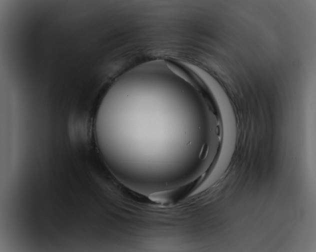 X0000095130168200712141203