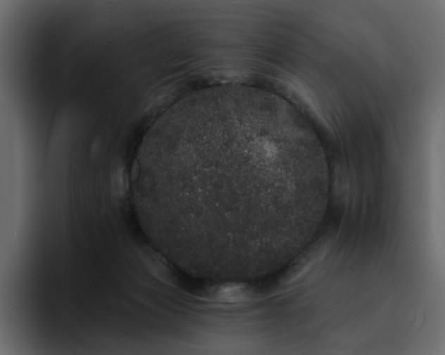 X0000095130173200712141203