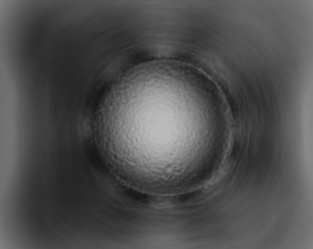 X0000095130175200712141203