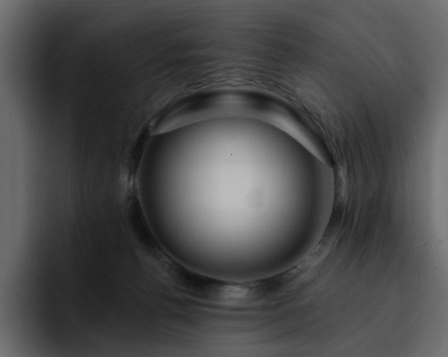 X0000095130176200712141204