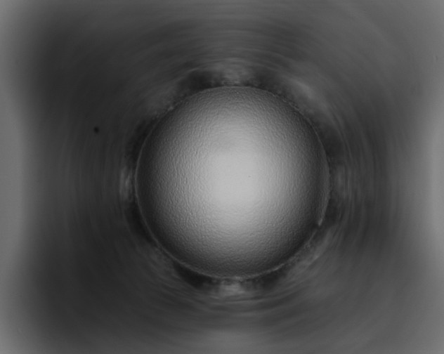 X0000095130177200712141204