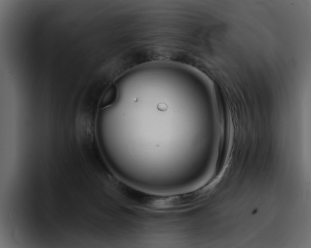 X0000095130178200712141204