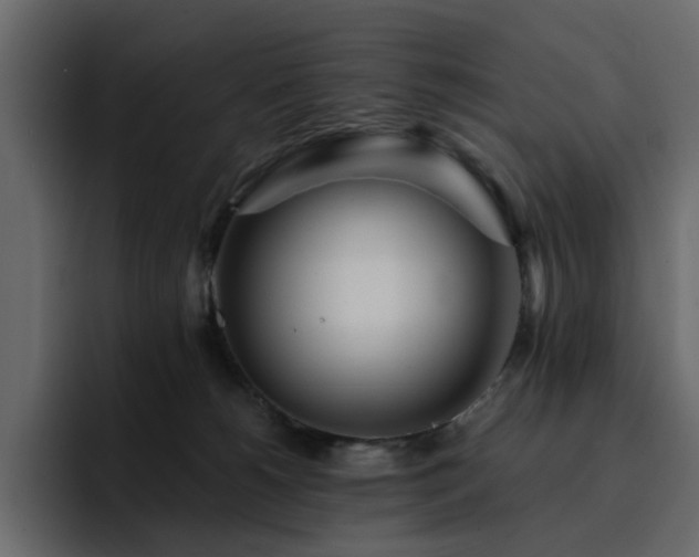 X0000095130180200712141204