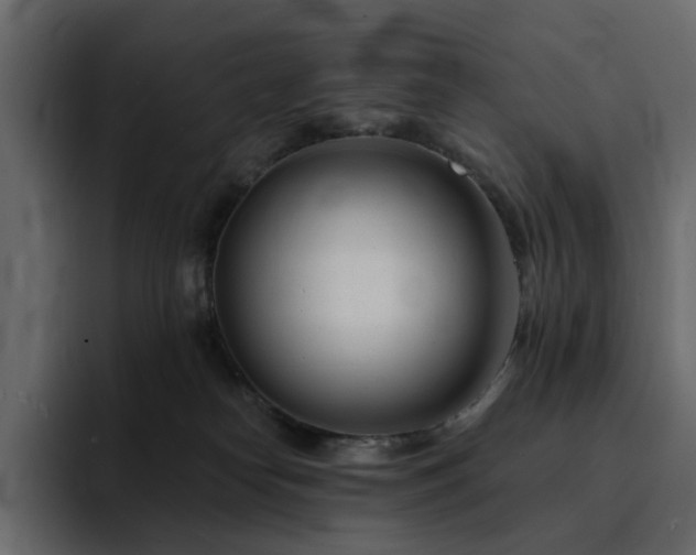 X0000095130182200712141204