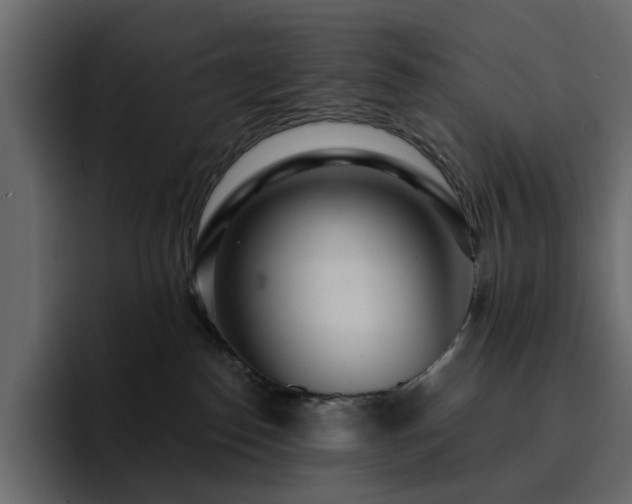 X0000095130186200712141204