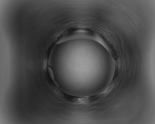 X0000095130188200712141204