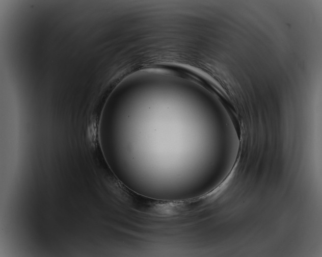 X0000095130190200712141204