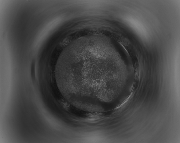 X0000095130191200712141204