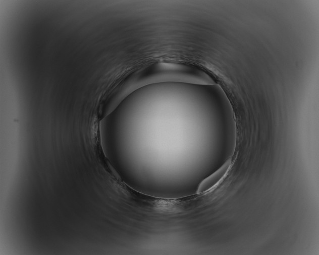 X0000095130192200712141204