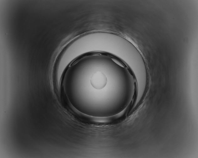 X0000095130199200712141203